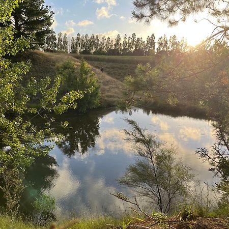 A Cabin With A Big View, Comfort And Tranquility, Close To Vines Martinborough Dış mekan fotoğraf
