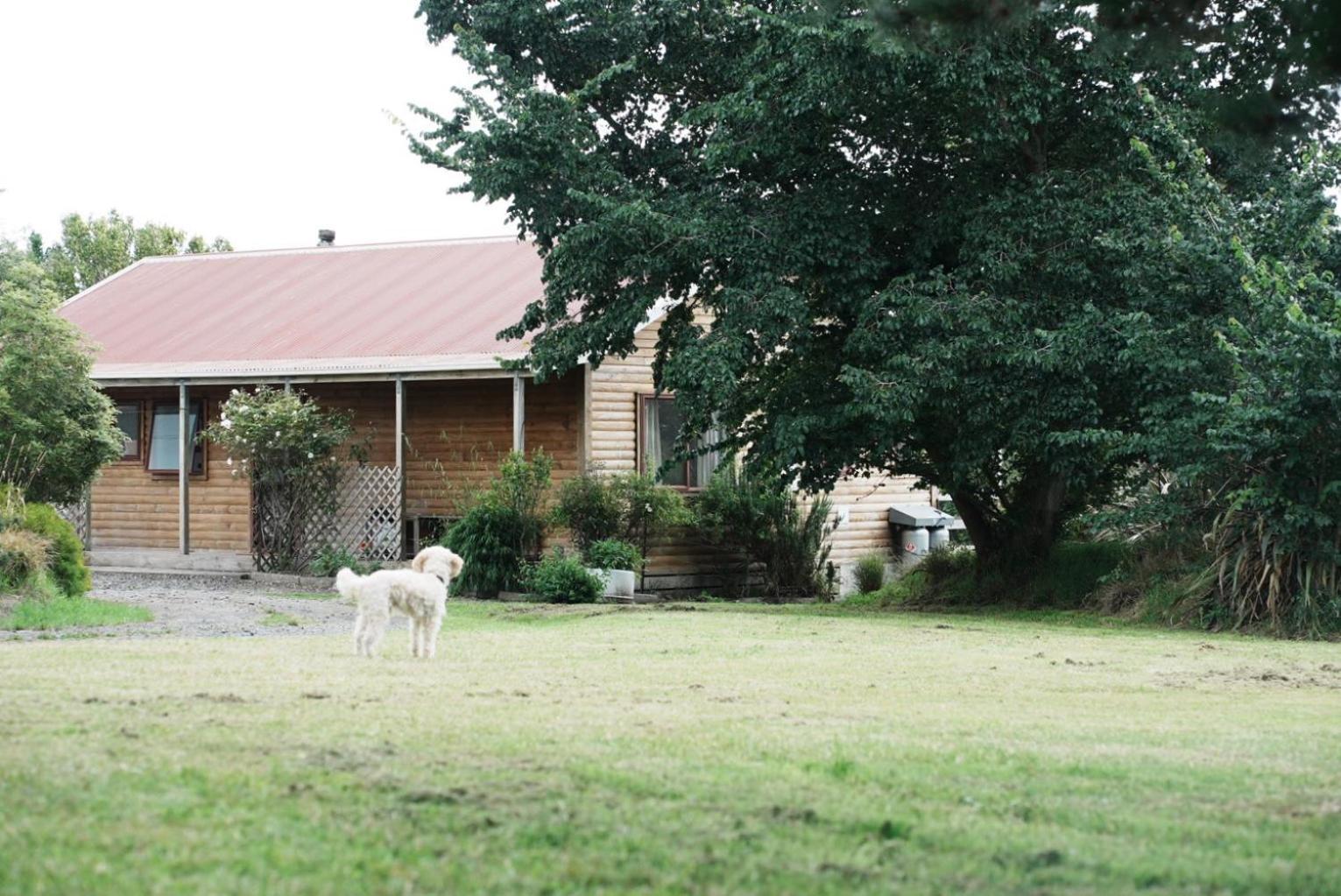A Cabin With A Big View, Comfort And Tranquility, Close To Vines Martinborough Dış mekan fotoğraf