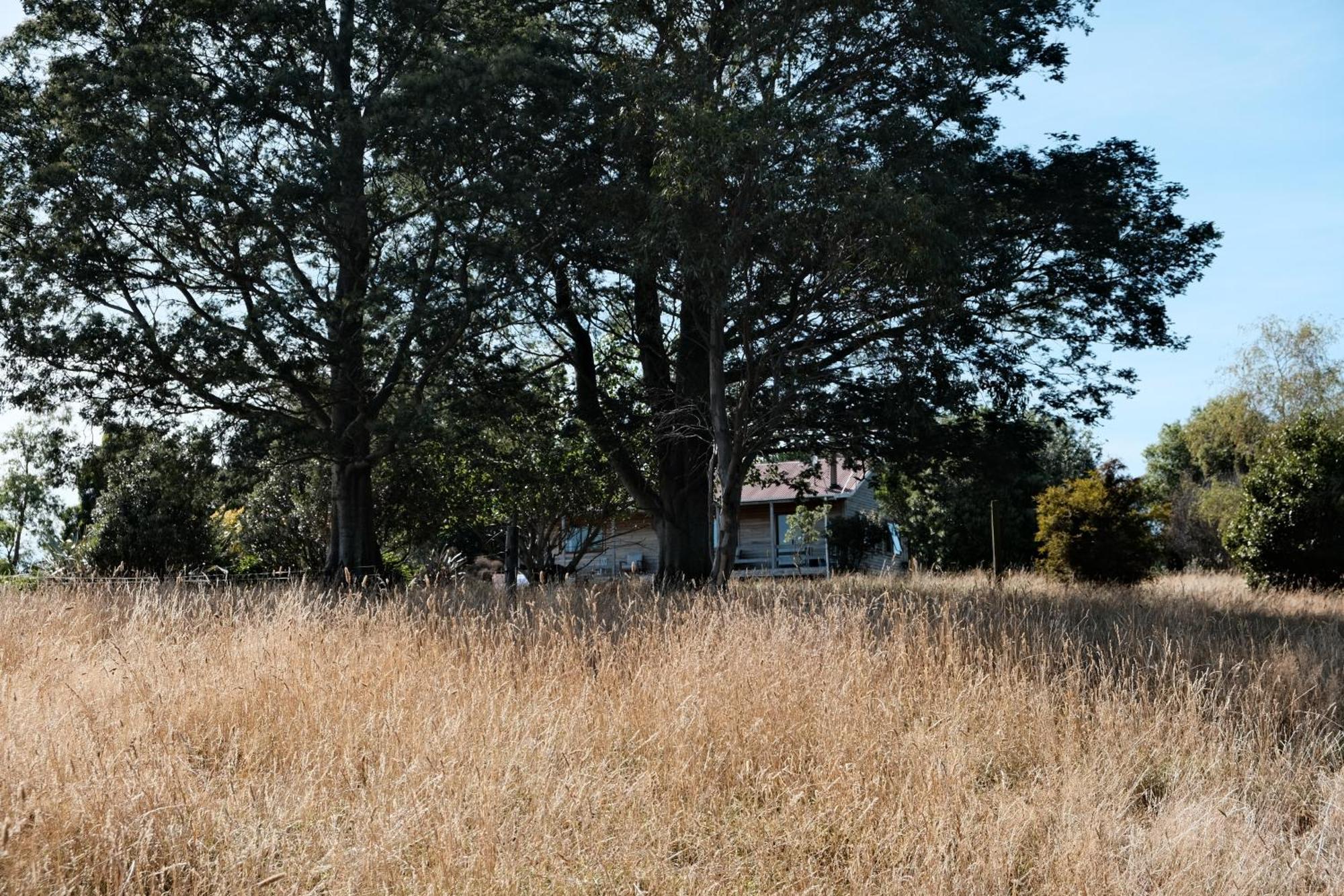 A Cabin With A Big View, Comfort And Tranquility, Close To Vines Martinborough Dış mekan fotoğraf