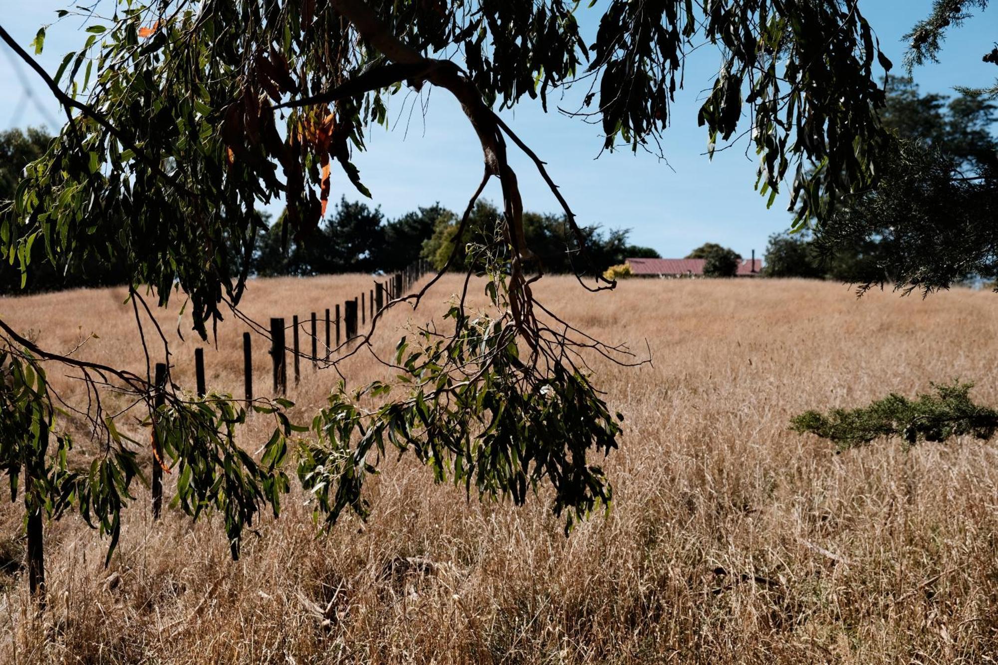 A Cabin With A Big View, Comfort And Tranquility, Close To Vines Martinborough Dış mekan fotoğraf