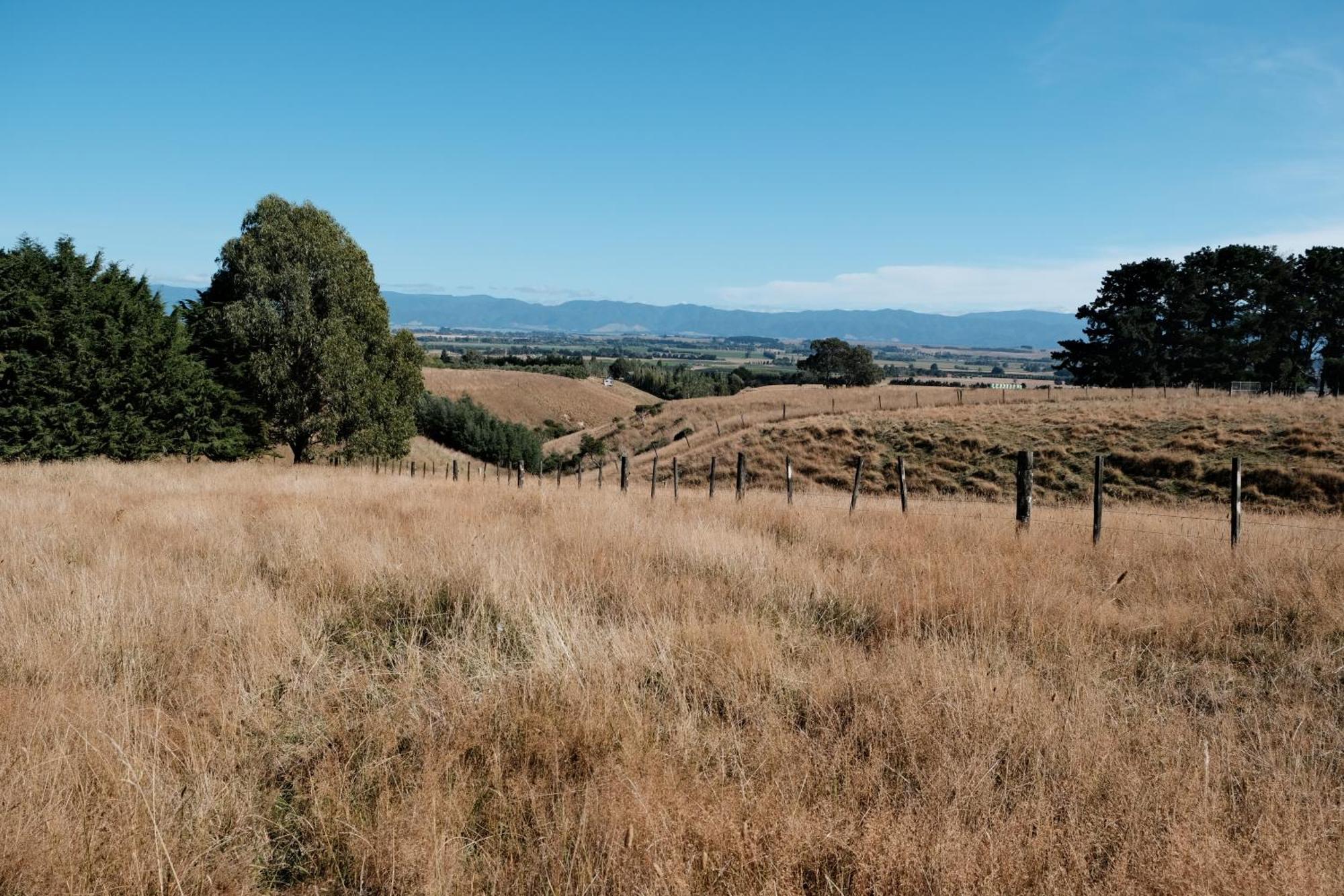 A Cabin With A Big View, Comfort And Tranquility, Close To Vines Martinborough Dış mekan fotoğraf