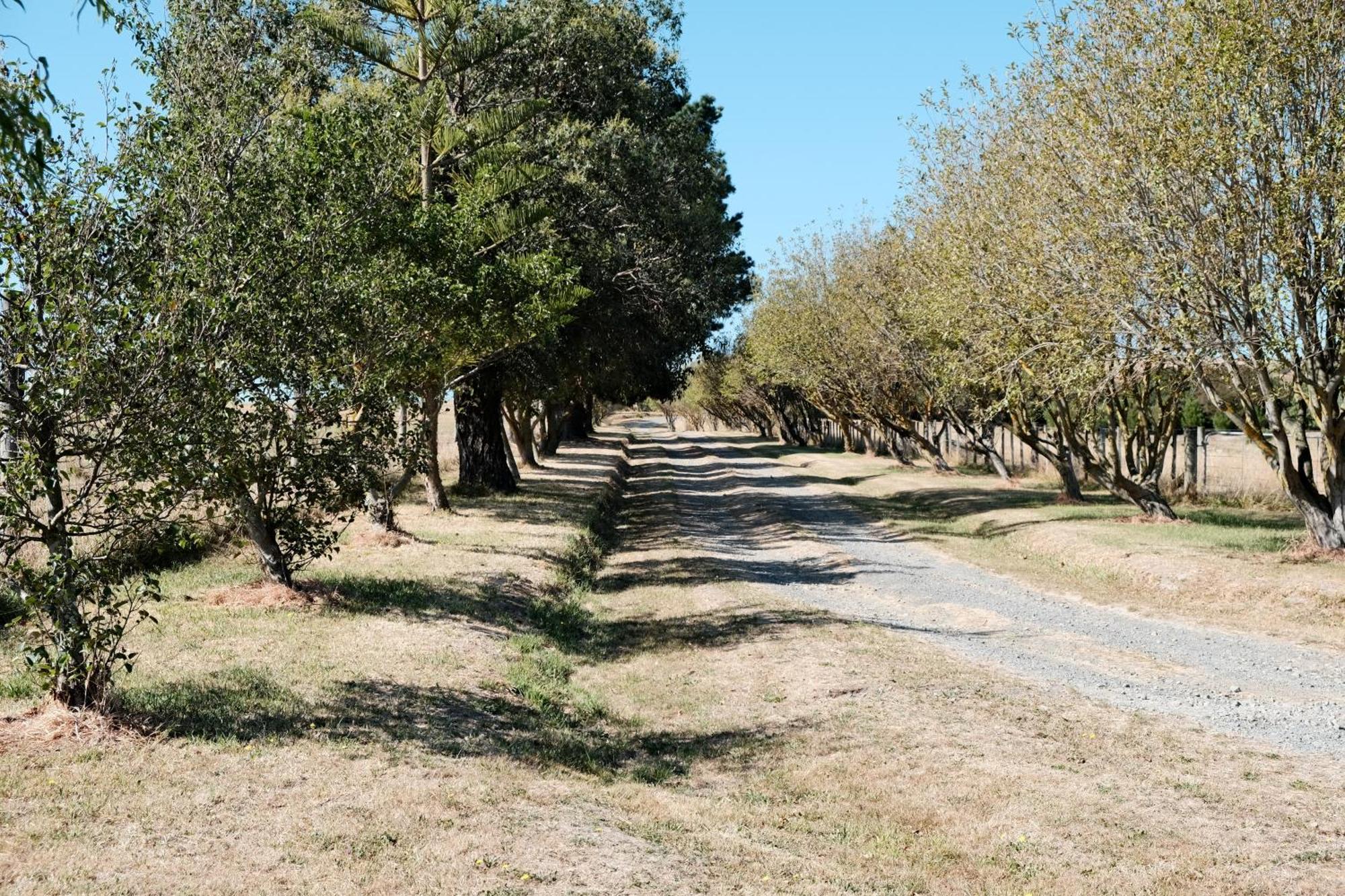 A Cabin With A Big View, Comfort And Tranquility, Close To Vines Martinborough Dış mekan fotoğraf